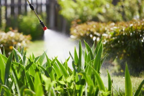 24/7 Emergency Mosquito Control experts in Kankakee, IL